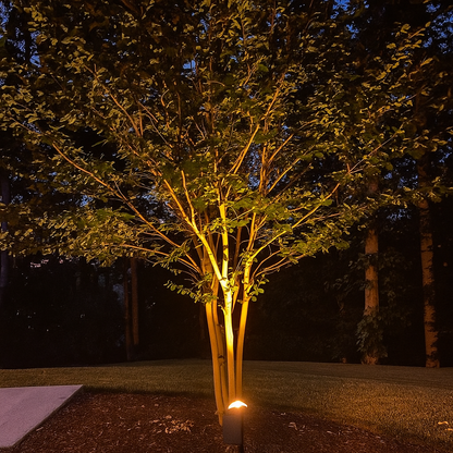 Sunbeam - Solar spotlight
